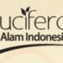 PT Nucifera Alam Indonesia Logo
